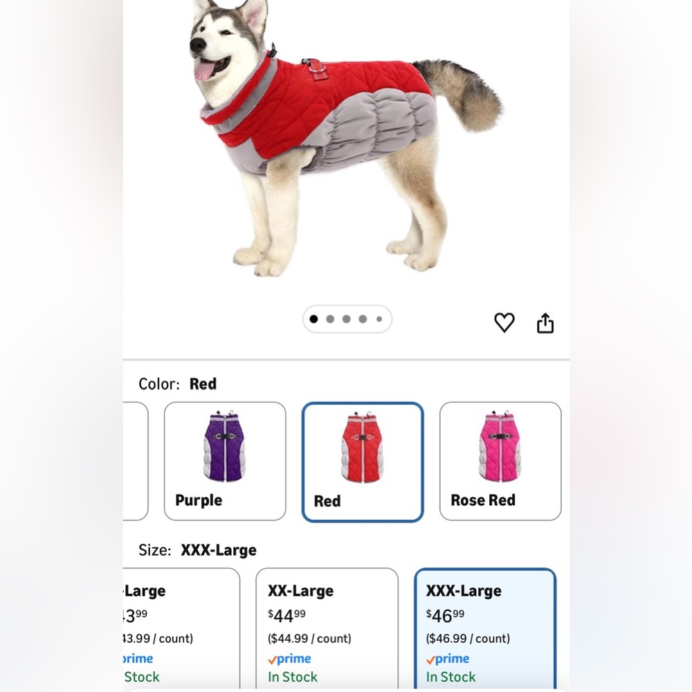 Red and Gray Dog Winter Jacket